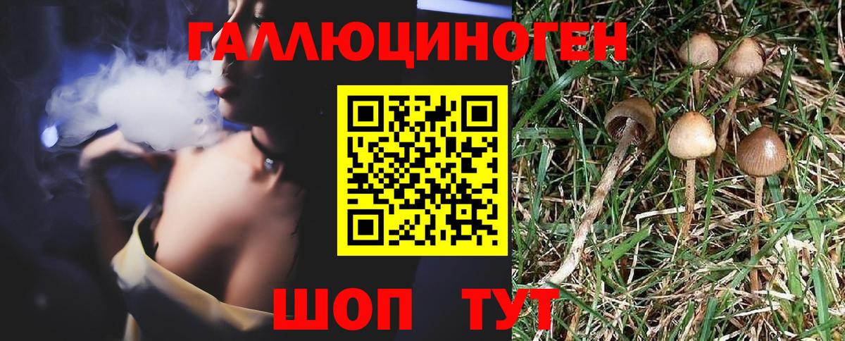 наркотики  Вход с VPN  Сургут  Псилоцибиновые грибы Magic Shrooms 